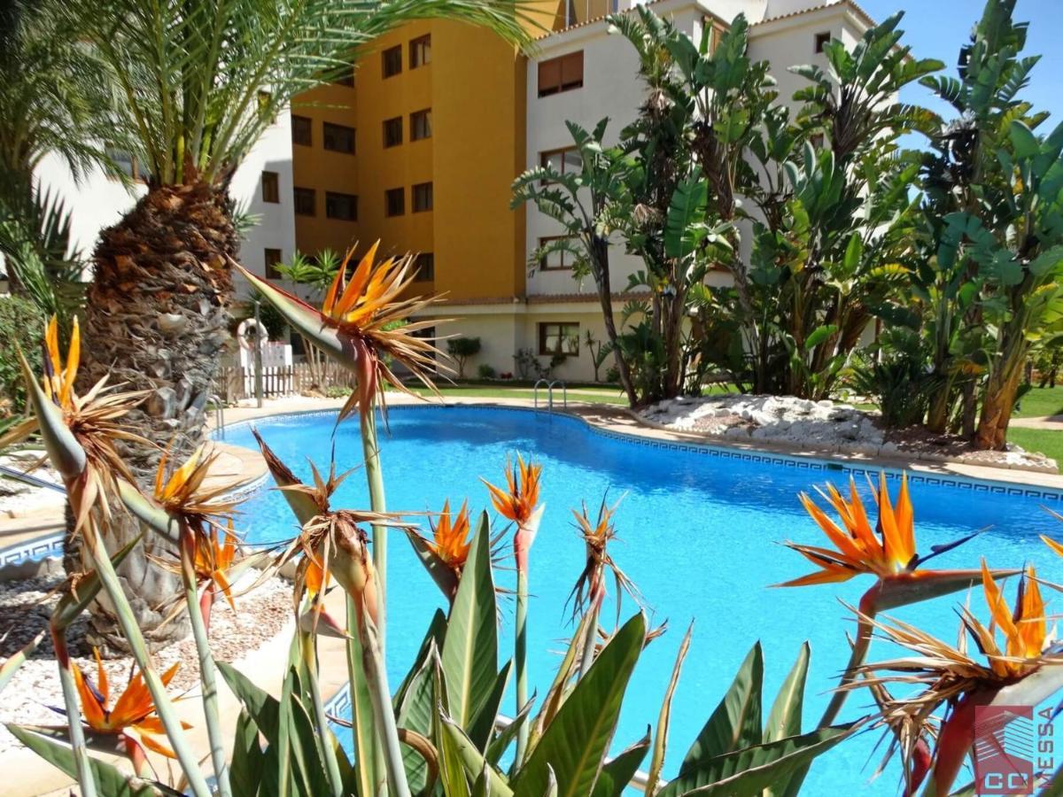 Apartamento Eleonor, La Entrada, Punta Prima, Torrevieja Buitenkant foto